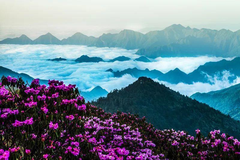 《要久久爱》慢热起步,杨紫能否再发挥扛剧能力